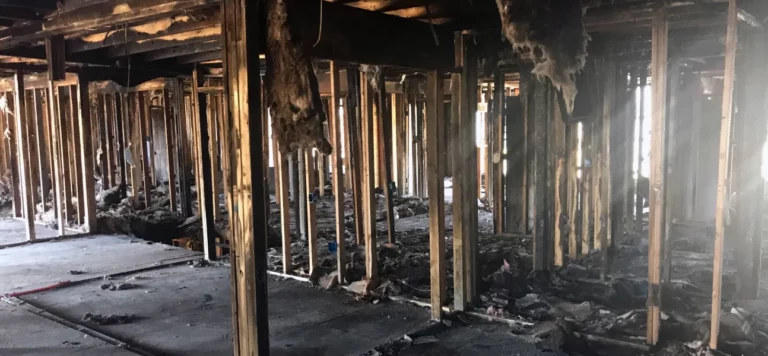 Fire Damage Result