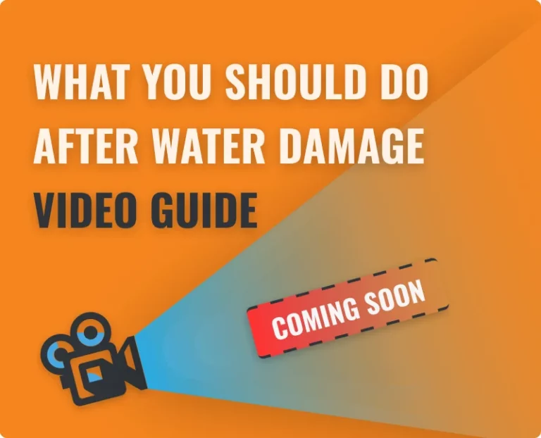 Video Tips for What You Should Do After Water Damage
